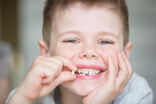 Armazenamento de células-tronco a partir do dente de leite